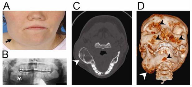 FIGURE 3