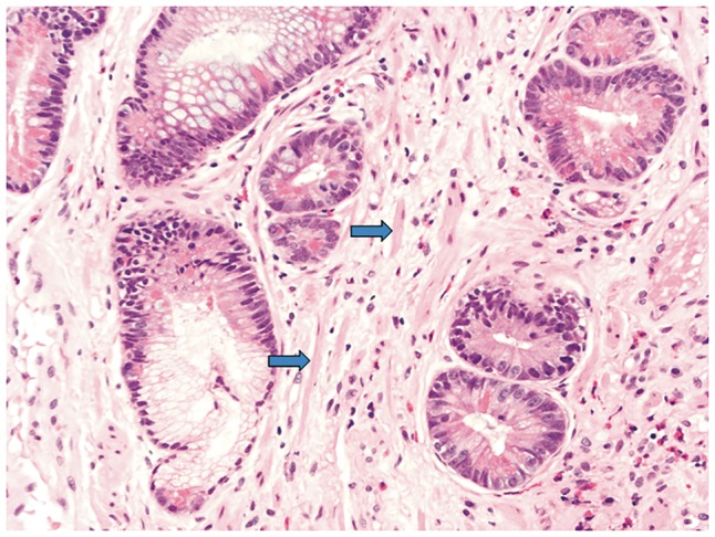 Figure 5.