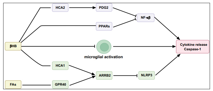 Fig. (3)