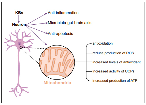 Fig. (2)