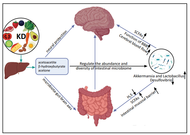 Fig. (1)