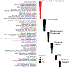 Extended Data Fig. 8 |