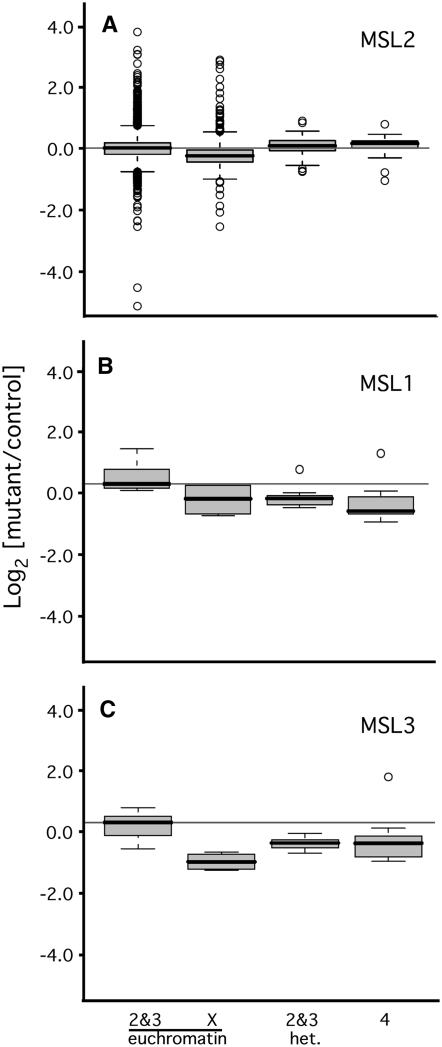 Figure 4.—