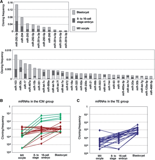 Small RNA class transition from siRNA/piRNA to miRNA during pre ...