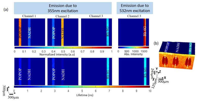 Fig. 3