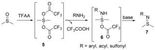 Scheme 4