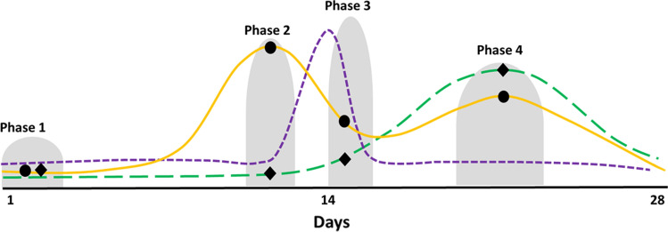 Fig. 4