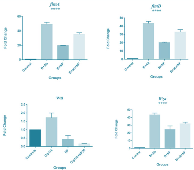 Fig. 4: