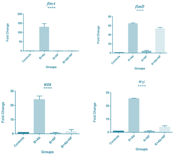 Fig. 3: