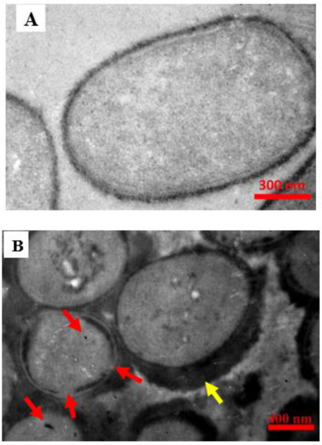 Fig. 2: