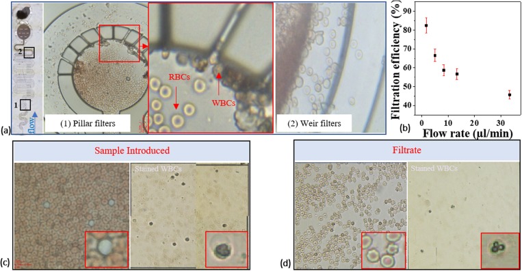 FIG. 13.