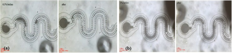 FIG. 12.