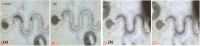 FIG. 12.
