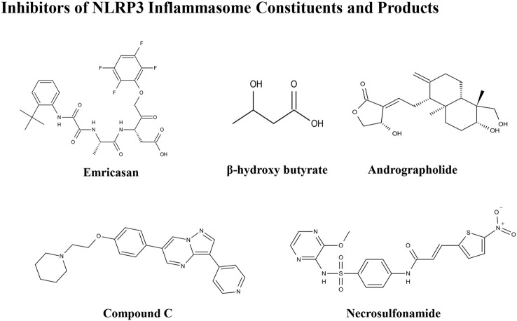 FIGURE 3