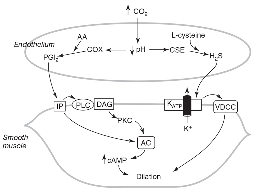 Figure 26