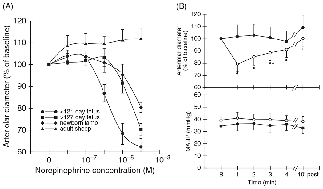 Figure 21