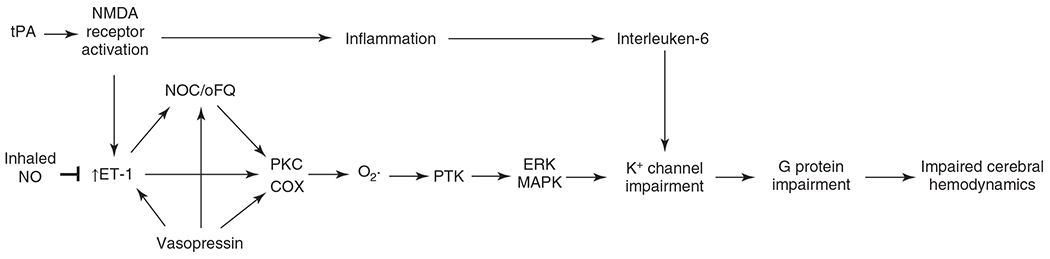 Figure 29