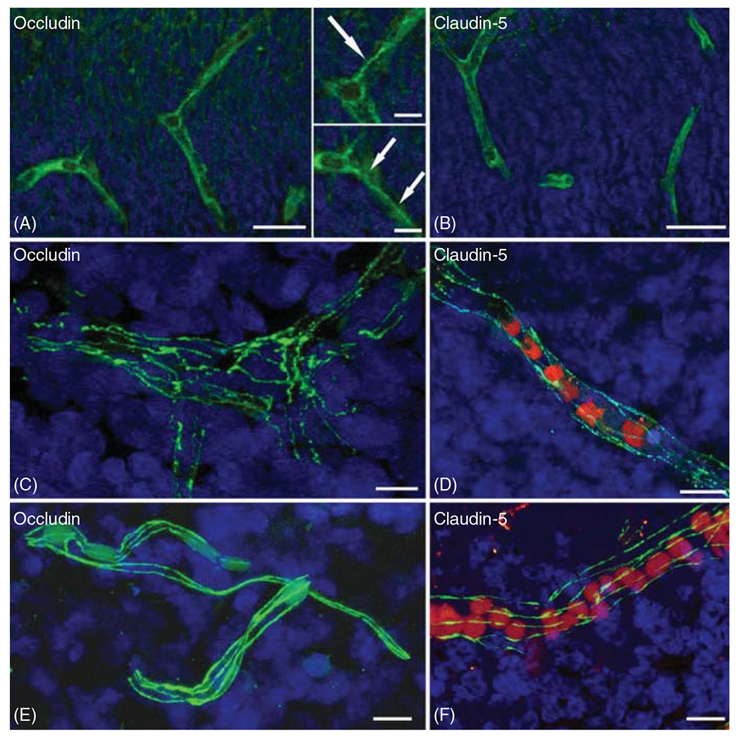 Figure 23