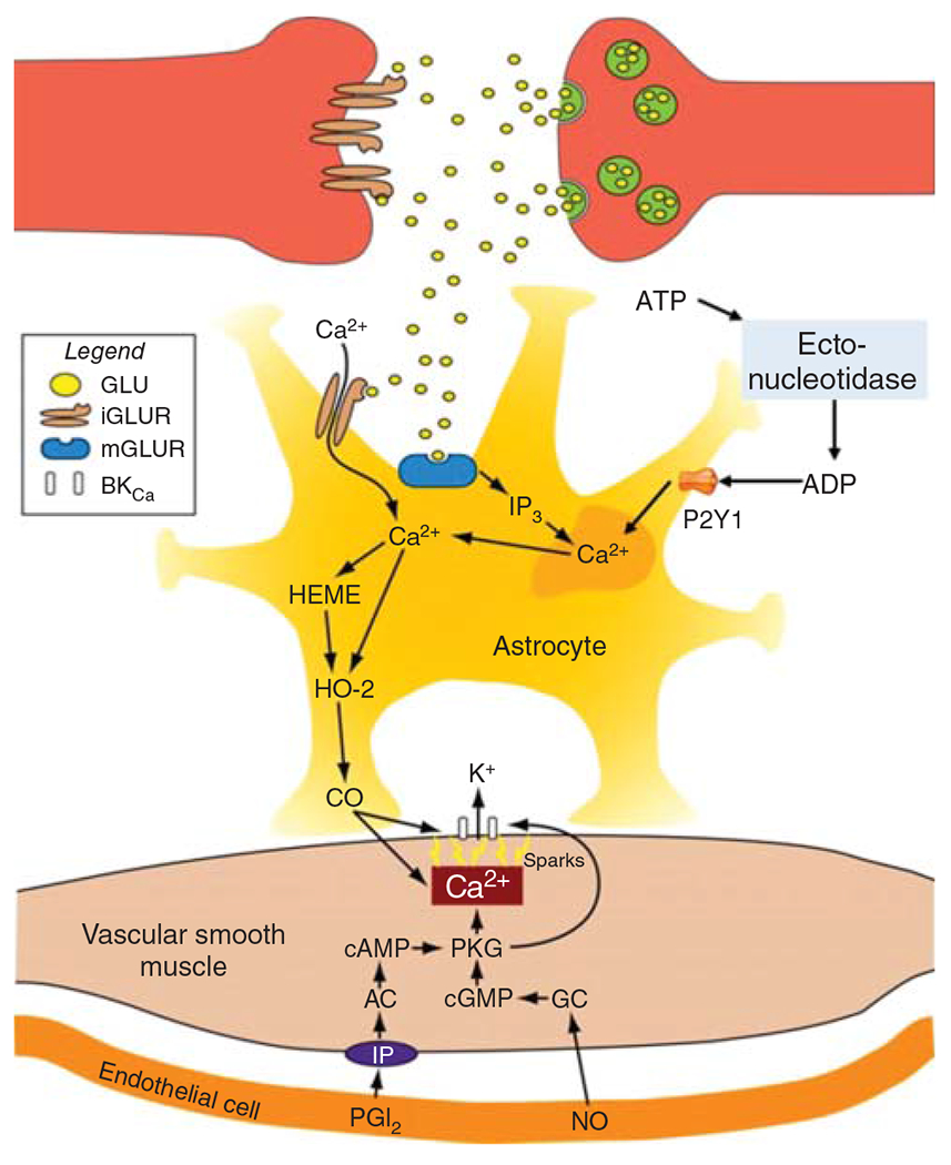 Figure 25