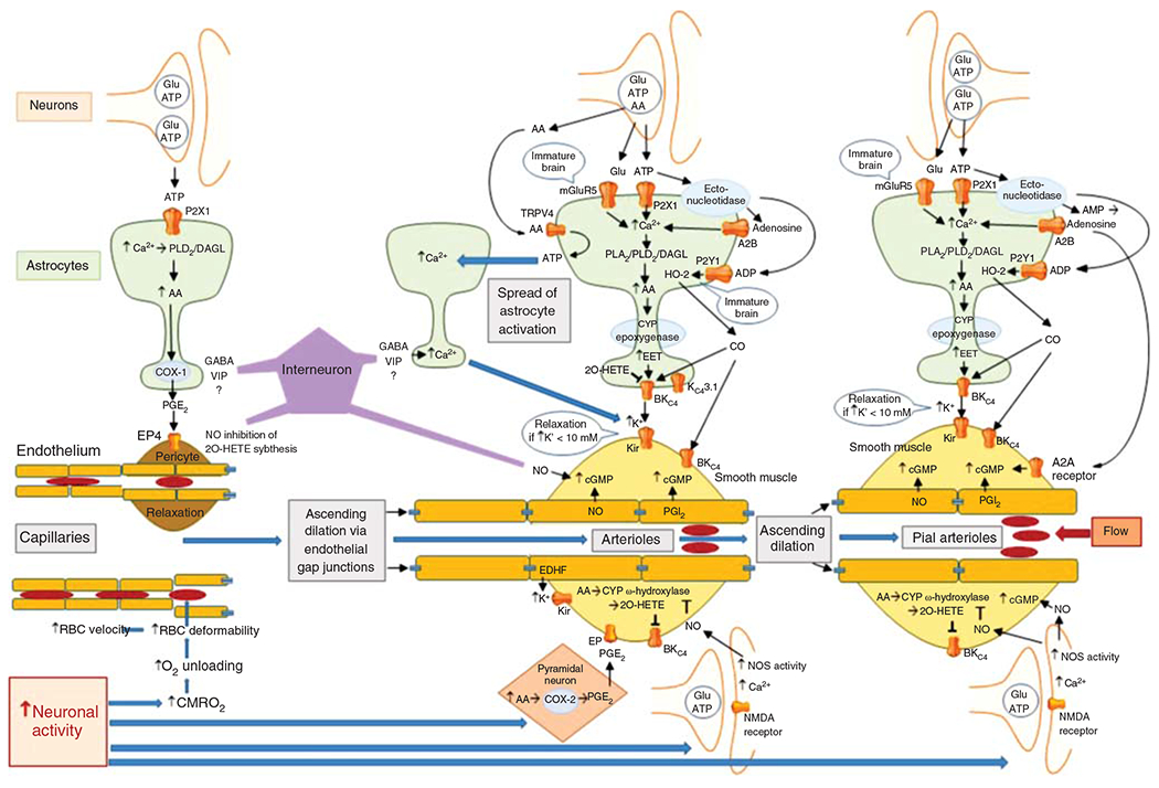 Figure 13