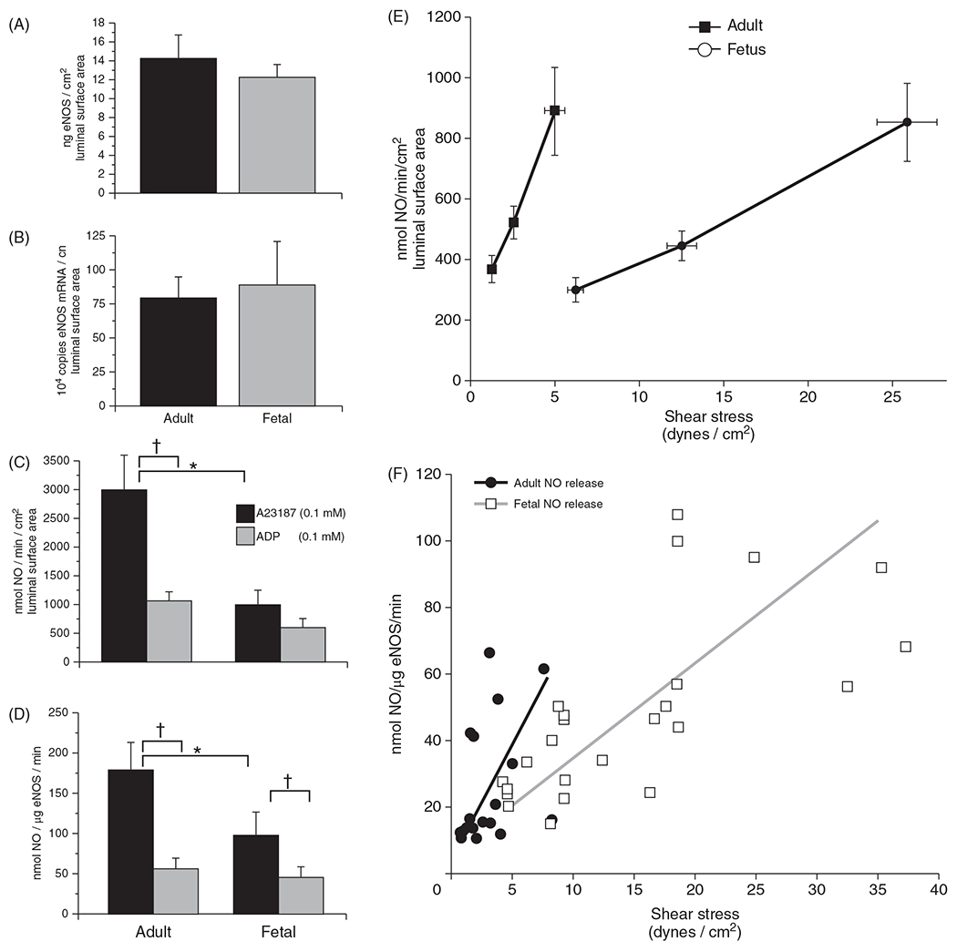 Figure 24