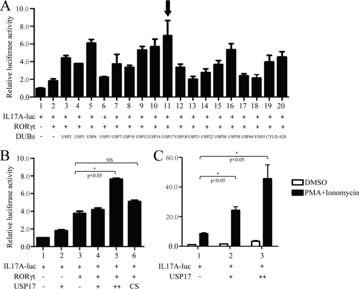 FIGURE 1.