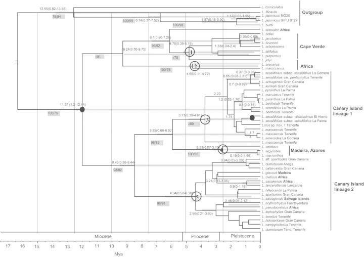 Figure 1.