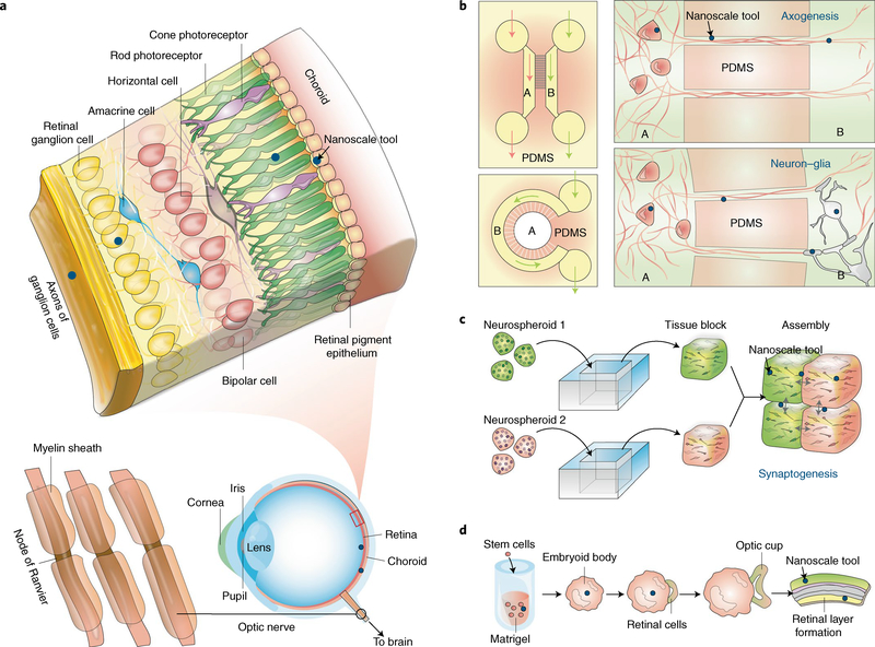 Fig. 2 |