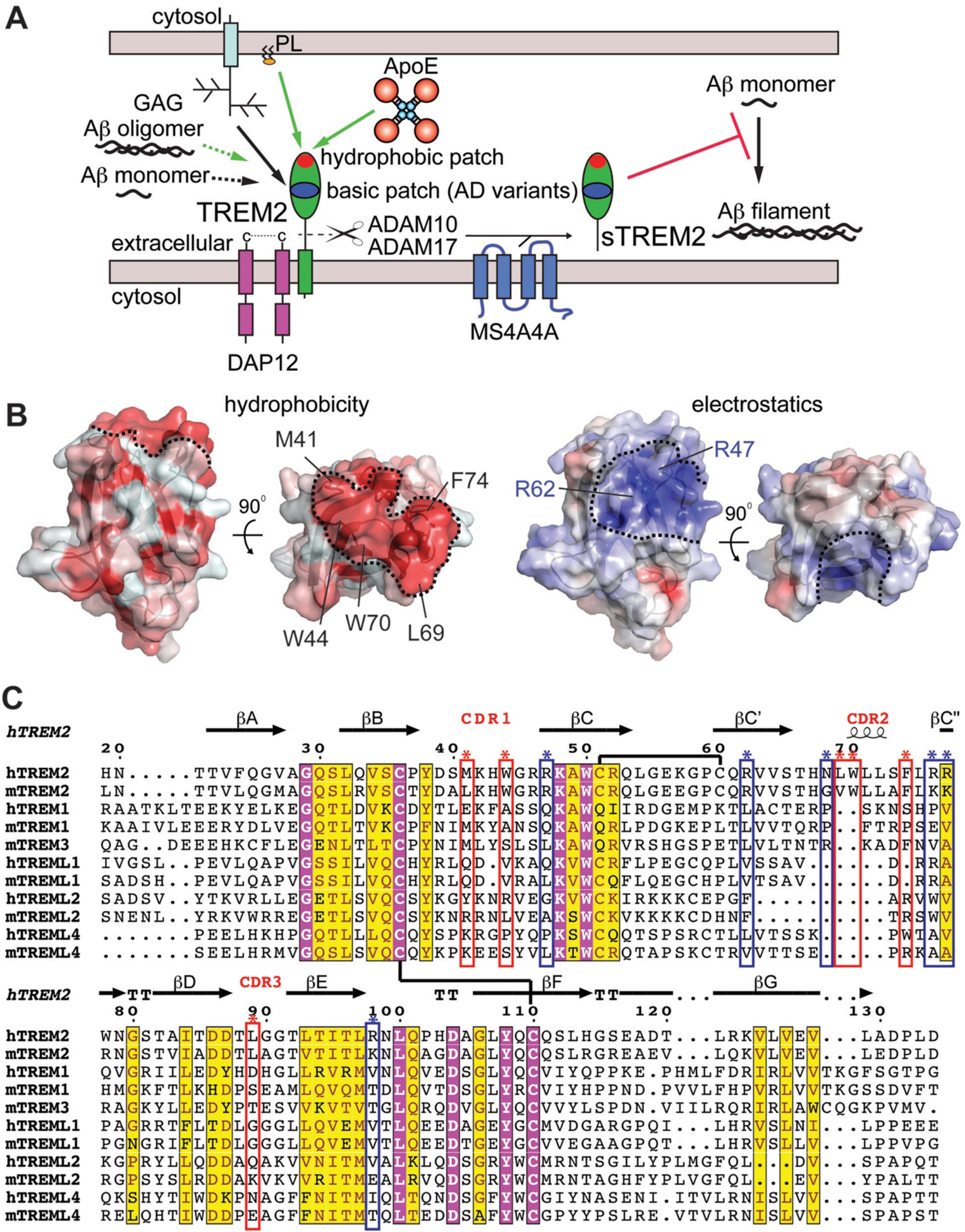 Fig. 6.