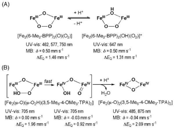 Scheme 8