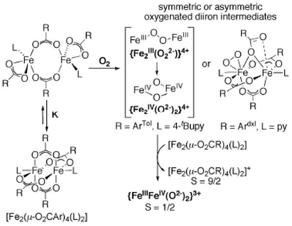 Scheme 3