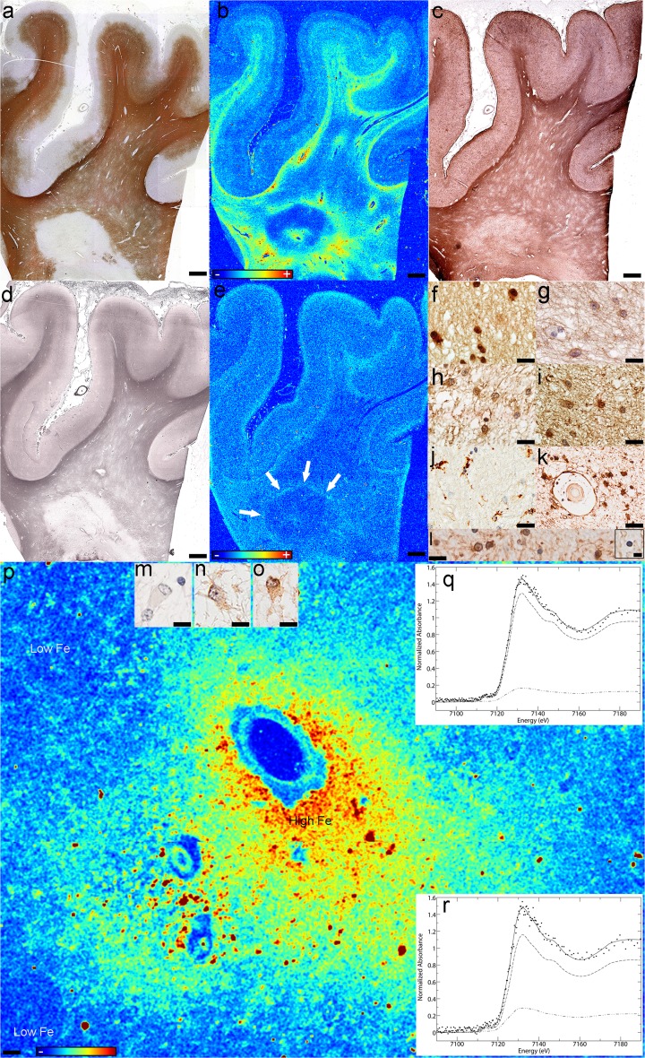 Fig. 6