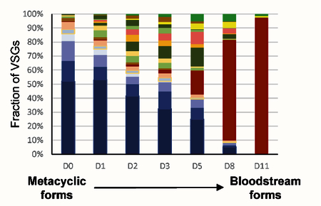 graphic file with name nihms-1500922-f0001.jpg