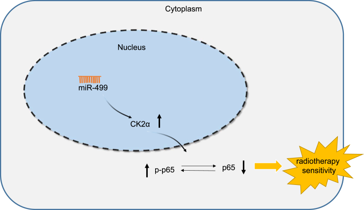 Figure 6