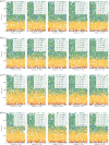 Spatial distribution of cells in crypts under varying diet and breach scenario C