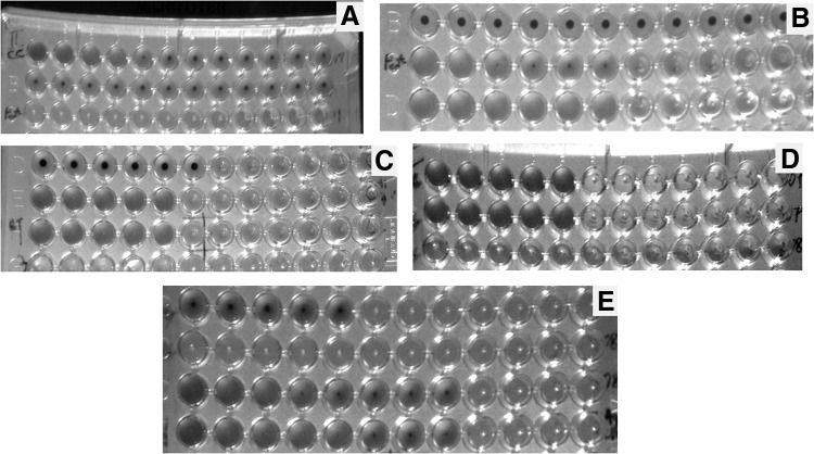 FIG. 9.