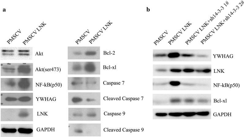 Fig. 6