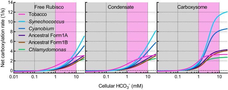 Fig. 8.