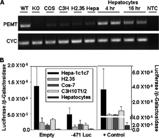 FIGURE 1.