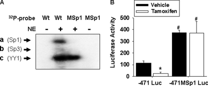 FIGURE 11.