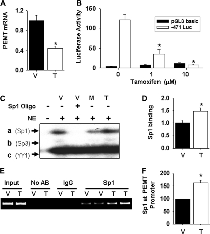 FIGURE 10.