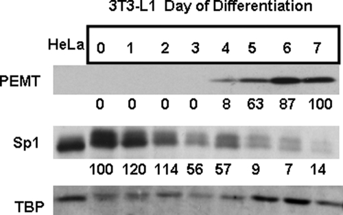 FIGURE 9.