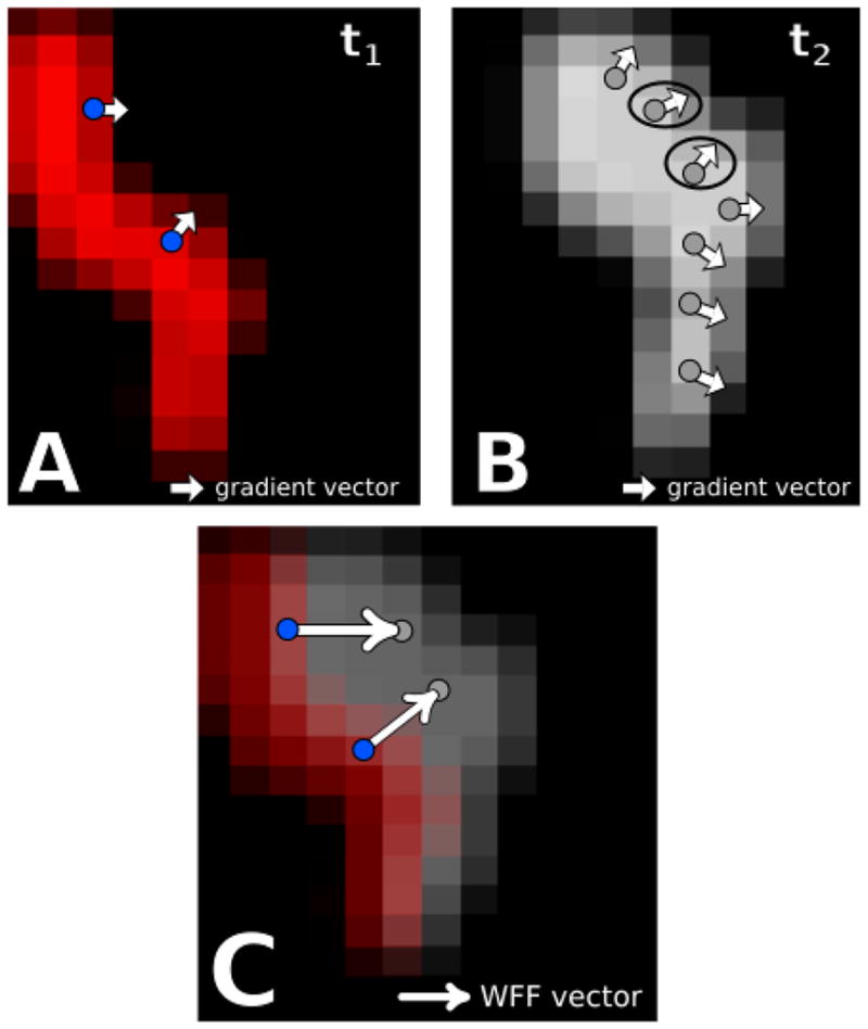 FIG. 1