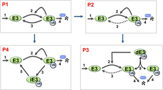 Fig. 3