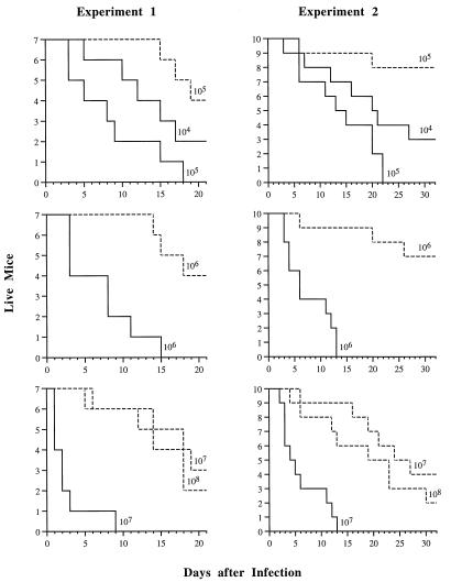 FIG. 7