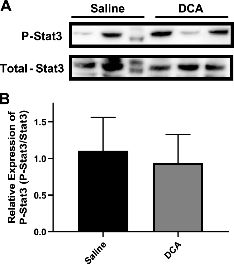 Fig. 9.