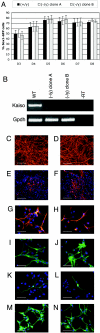 FIG.2.