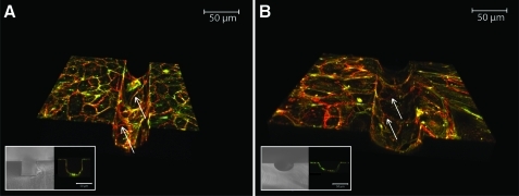 FIG. 4.