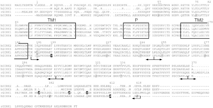 Fig. 6