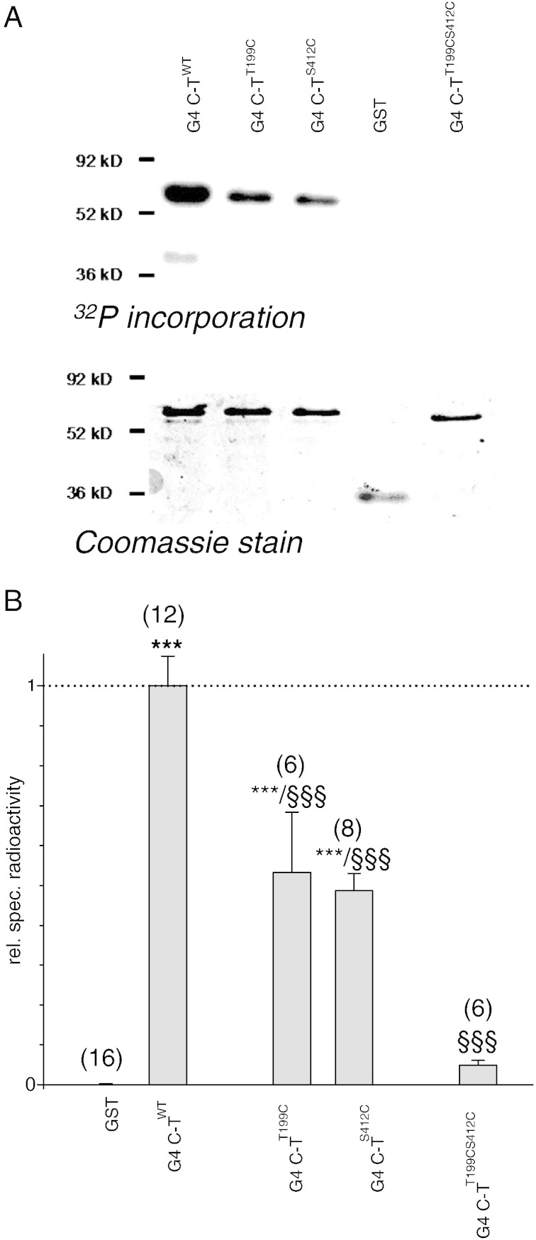 Fig. 4